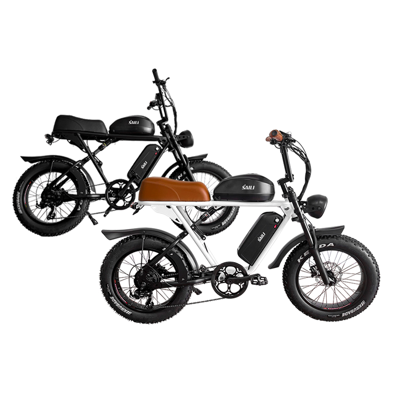 750W Rear Geared Hub Motor 20*4.0 Inch Electric Bike
