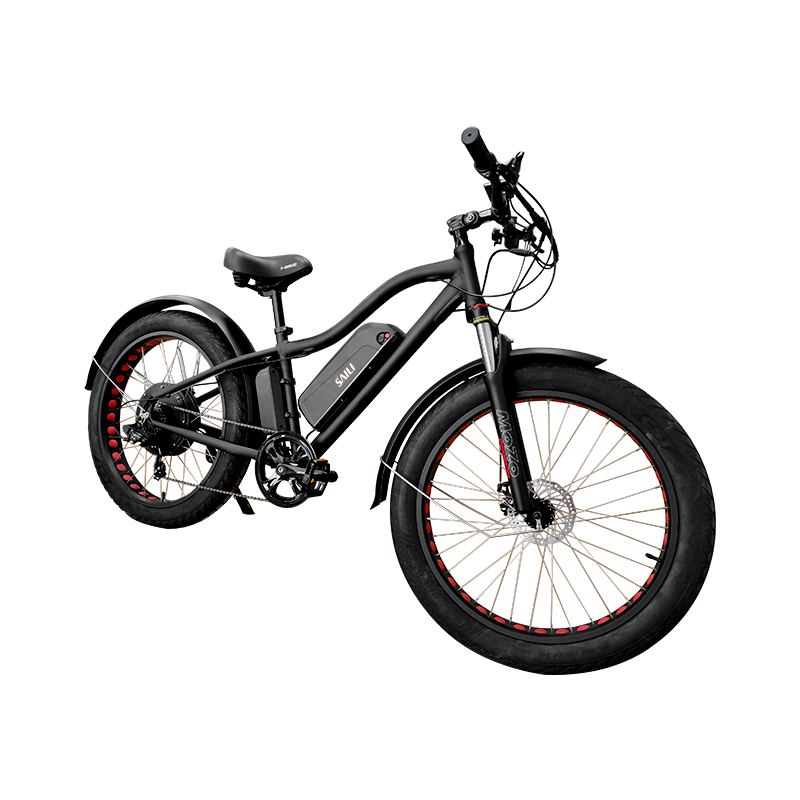 SLM1 48V 1000W Direct Drive Rear Hub Motor E-Bike